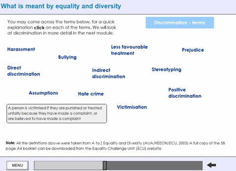 Equality_Diversity_inclusion-Screenshot2