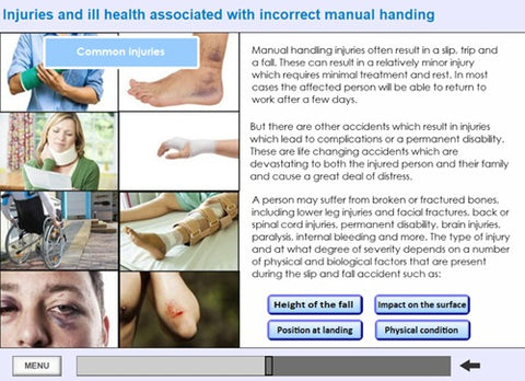 Manual Handling for Managers Online Training - screen shot 4