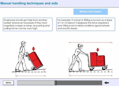 Manual Handling for Managers Online Training - screen shot 9