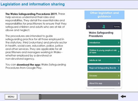 Safeguarding Children Group B Wales SCORM File