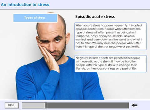 Stress Awareness for Managers Online Training - screen shot 2