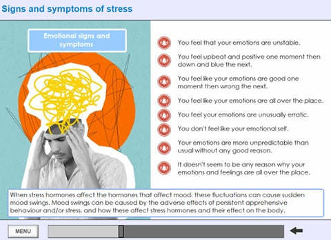 Stress Awareness for Managers Online Training - screen shot 5